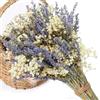 Generico Fiori Secchi Decorativi,Fiori Secchi Decorativi per Vaso 40-44 cm, Erba di Essiccata Naturale per Matrimoni, Feste, Decorazioni Boho