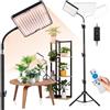zenlavia Lampada per Piante da Interno, 26W 246 LED Grow Light a Spettro Completo, da Terra con Treppiede Regolabile in Altezza e Pieghevole, Luce per Piante Dimmerabile con Timer e Telecomando