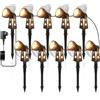 ZOTOYI Impermeabile IP68 Faretti da Giardino Kit Illuminazione Giardino 32M 10-in-1 con Adattatore, 30W LED Luce Calda 3100K per Prati, Viali d'Ingresso, Eventi all'Aperto