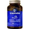 Treovita Magnesio L-Treonato Magtein® 1500 mg, con Ashwagandha concentrata con 10 mg di Withanolidi e Inositolo 900 mg - Formula per il benessere mentale e l'equilibrio quotidiano - 90 Capsule senza additivi