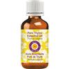 Deve Herbes Pure Thyme Essential Oil (Thymus vulgaris) distillato a vapore di grado terapeutico naturale al 100% 5ml (0.16 oz)