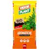 Generico Terriccio Professionale Piante Aromatiche 20 L | Substrato con Concime Organico, Torba Baltica e Pomice per Basilico, Prezzemolo, Salvia, Rosmarino e Origano
