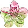 Whakano Fermaglio per capelli da donna, clip hawaiana, clip per capelli in plastica, antiscivolo, forte tenuta, accessorio per acconciature in spiaggia, feste, piscina, vacanze, verde rosa E