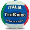 Teorema Giocattoli Teokaido, Pallone Pallavolo Misura 5 Ufficiale, Palla da Volley Soft Touch per Allenamento e Beach Volley, Peso Regolamentare 260-280g, Ideale per Principianti, Resistente all'Acqua, Design Esclusivo