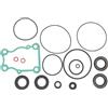 BUDZAVHIC 6BG-W0001-21 Kit guarnizioni unità Inferiore Compatibile con Motore fuoribordo YMH 4 Tempi 30 40 HP F30 F40 6BG-W0001-20 GLM 87824