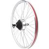 Queeucaer Kit di conversione per bicicletta elettrica da 28 pollici, motore a mozzo LCD, per bicicletta elettrica, 36 V, 250 W, per ruota posteriore da 28 pollici, AZN7WDZH8-DKTD