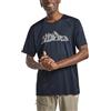 Jack Wolfskin Peak Graphic T M T-Shirt Uomo (Pacco da 1)