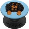 Girls Cavalier Puppy Dog Gifts T Shirt & Women Black Tan Peeking Pocket Cavalier King Charles Spaniel PopSockets PopGrip Adesivo