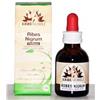 ERBENOBILI Srl FITOBLASTO Ribes Nigrum 50ml