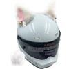Hoite 2 pezzi di graziose orecchie di gatto per casco, decorazioni in peluche, accessori per caschi da moto, bicicletta e snowboard, divertenti motivi animali per adulti, bianco e rosa.