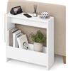 Shally Dogan Tavolino Laterale Divano Salvaspazio, Tavolo Multifunzione per Ingresso, Console Versatile Design Minimal, Mobile Doppio Ripiano Struttura Resistente, 55 x 20 x 60 cm (Bianco)