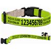 Pictogogo Collare per cane personalizzato con testo a scelta, colore del testo, telefono, indirizzo o messaggio di avviso (Verde chiaro, XS: 25-37 cm circonferenza collo)