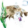 Generico Grotta per Acquario Tunnel Nascondiglio Realistico Betta | Tana Sottomarina per Acquario per Principianti Betta Acqua Subacqueo Nascondersi Riposare