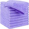 HIDMD Panni per la pulizia in microfibra, panni multiuso in microfibra, panni per la pulizia senza striature, confezione da 10, 30 x 30 cm Violetta