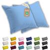 Lavea® Set 2 Federe per Cuscini da Letto 40x40 cm - Copricuscini 100% Cotone Jersey Morbidi e Traspiranti, con Cerniera YKK di Qualità, OEKO-TEX - Azzurro cielo