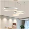 LIUYU Lampadario a Sospensione LED Cerchio Dimmerabile Altezza Regolabile | Temperatura di colore regolabile; Bianco; 4 anelli 20-40-60-80 cm; 130 W, 15600 lm; alluminio e acrilico per Soggiorno