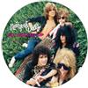 New York Dolls All Dolled Up: The Interviews (Vinyl LP) 12" Album with DVD