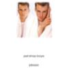 Pet Shop Boys Please (Vinyl LP) 12" Album