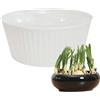 Générique Idroponici Vasetti Da Fiori - Vaso Di Idroponici Idroponici Al Coperto | Contenitore Di Piantagione A 3 Fori | Contenitore Di Piantagione Bulbi Di , per Jard