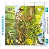 Prophila Collection Palau-Isole 318-337 ZD-Archi (Completa Edizione) MNH ** MNH 1989 Flora e Flora (Francobolli per i Collezionisti) Uccelli