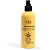 ZIAJA Ananas nebulizzazione con caffeina