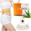 Rionavexa 30 Pezzi Patch Dimagranti, Cerotti Brucia Grassi per Pancia e Vita, Slimming Patch Anticellulite, Cerotti Dimagranti Efficaci, Traspirante e Confortevole,Unisex,Supporta Una Silhouette Curata