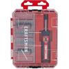 CRAFTSMAN CMHT68130 - Set di cacciaviti dinamometrici a croce, esagonali, Torx e quadrati, 29 pezzi