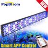 PopBloom NUOVO PopBloom-Acquario Illuminazione a LED, Lampada per acquario marino a spettro completo per 80-100 cm 36 "Reef Coral SPS/LPS Luce per serbatoio, H75, T75