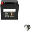 farbrothersonline COMPATIBILE CON ITALJET Torpedo 150 2000 A 2002 BATTERIA BOSCH GIA' PRONTA ALL'USO YB9-B 12V 9AH BATTERIE 9 AMP MOTO SCOOTER COMPLETA M4F250 136X76X134MM