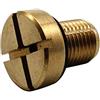 EVER STORE 17111712788 Vite di spurgo del liquido di raffreddamento compatibile per E46 E92 E90 E36 E39 e Mini Cooper