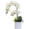 Omygarden Orchidea bianca artificiale in vaso, fiori finti di orchidea in plastica, decorazione per casa, ufficio, matrimonio (bianco 2 mazzi)