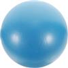 BESTOMZ Palla da Esercizio Piccola 9 Pollici in Pvc Blu per Pilates | Allenamento a Casa e Fisioterapia, Superficie Antiscivolo, Stabile e Portatile, Adatta a Donne in Gravidanza