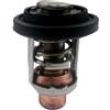 CloudburstVoltix Termostato marino 437090 0437090 0436174 compatibile con motori fuoribordo