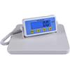 heninhill Bilancia Pesapersone Digitale 200kg, Bilancia Medica ad Alta Precisione con Ampio Display, Bilancia Professionale per Clinica Palestra Ufficio Casa