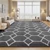 Sour Lemon Tappeto a pelo lungo grigio per soggiorno 240x340 lavabile antiscivolo extra grande per camera da letto tappeti moderni e soffici per camera da letto e cameretta dei bambini