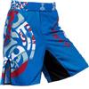 Hardcore Training Pantaloncini MMA Uomo BJJ No Gi Grappling Kickboxing | Fight shorts per jiu jitsu e kickboxing, tessuto elasticizzato, spacchi laterali e vita regolabile, con cordoncino interno