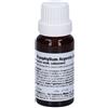 weleda Bryophyllum arg rh d3 gt 20ml we
