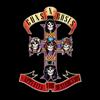 Guns N' Roses Appetite for Destruction (CD) Album