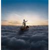 pink floyd Endless River (Vinyl LP)