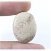 Botswana Dendritiche Agata 18.50 KT / 25 MM Naturale Ovale Gemma Certificato