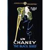 Warner Archive The Blackbird (DVD) Lon Chaney Owen Moore RenA(c)e AdorA(c)e