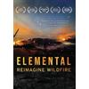 Allied Vaughn Elemental: Reimagine Wildfire (DVD) David Oyelowo Trip Jennings