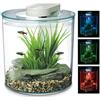 Marina 360 Acquario con telecomando a LED, multicolore, 10 litri, blu, verde, rosso