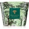 Baobab Collection Sacred Trees Touba 500 g
