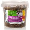 UGF Underground Food UGF - Larve di mosca soldato essiccate - 75 g in un secchio da 500 ml, Hermetia