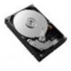 DELL HDD 8TB HARD DRIVE SAS 12GBPS 7.2K 512E 3.5 HOT PLUG