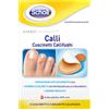 SCHOLL'S Scholl Cer Callif Calli Du 8pz