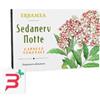 ERBAMEA SRL SEDANERV NOTTE 24 CAPSULE VEGETALI