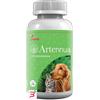 INDUSTRIA ITALIANA INTEGR.TREI ARTENNUA 90 CAPSULE