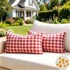 Dorunfeey Set di 2 Federa Cuscino Rosso Fodere Cuscini Righe Rustiche Copricuscini Esterno Federe Cuscini Divano Plaid a Quadri Buffalo Check Federa Cuscino Cuscino Impermeabili per Giardino Divano 30X50cm